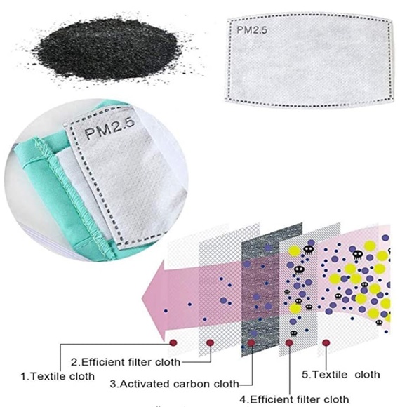 PM2.5 Activated Carbon Filter - Picture 4 of 5